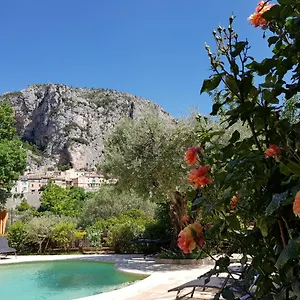  Bed & Breakfast Bastide Des Oliviers